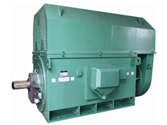 阜新YKK系列高压电机一年质保